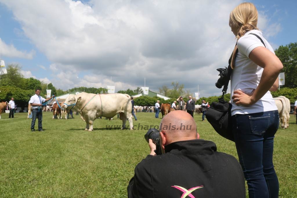 Hódmezővásárhely 2019