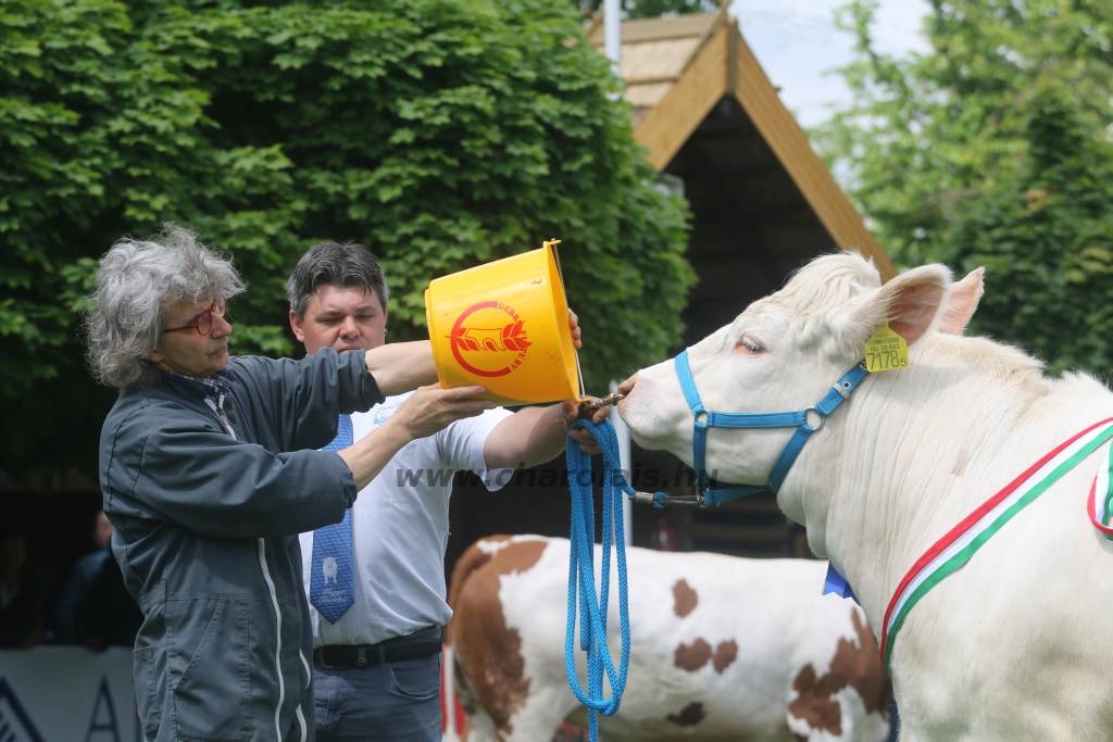 Hódmezővásárhely 2019