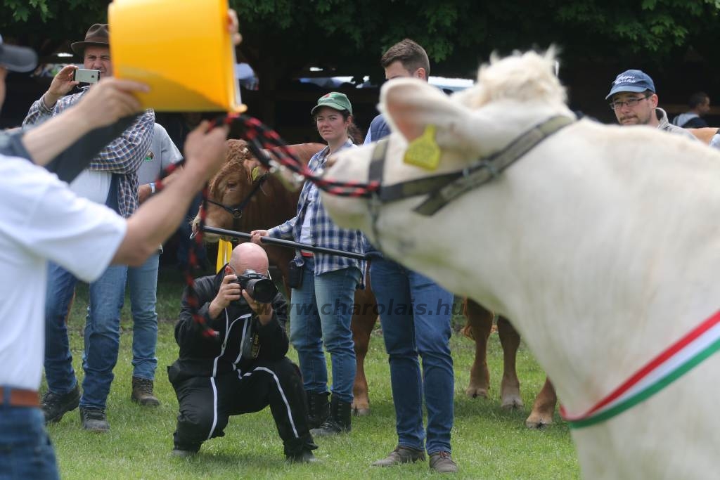 Hódmezővásárhely 2019