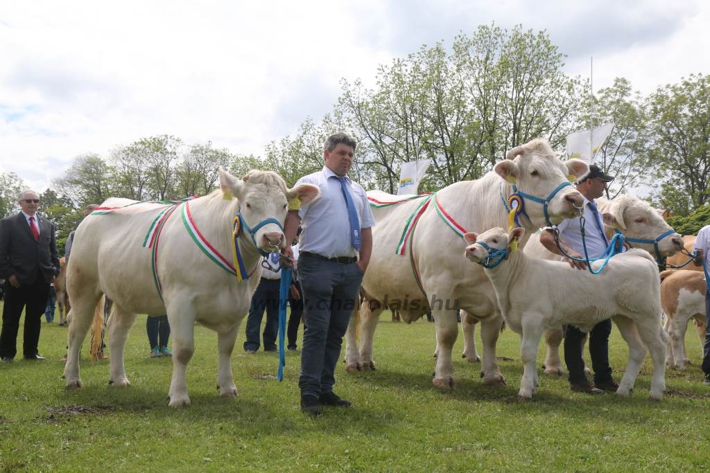 Hódmezővásárhely 2019