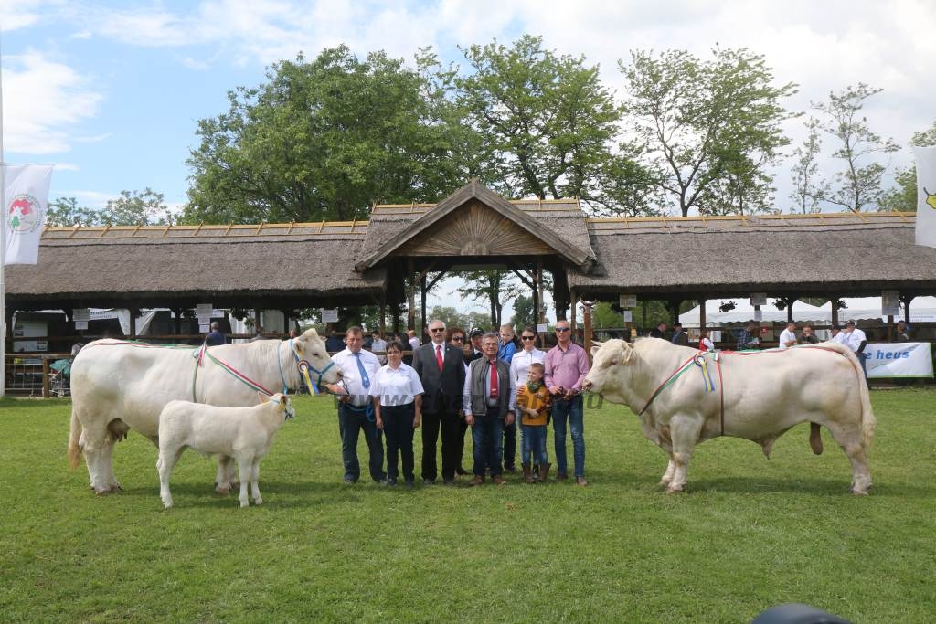 Hódmezővásárhely 2019