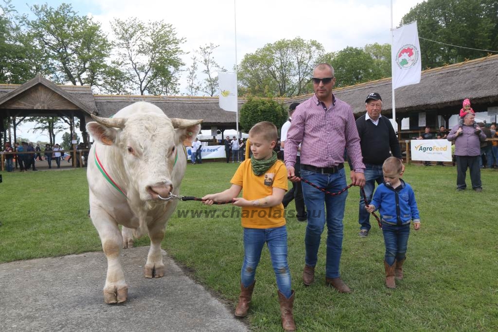 Hódmezővásárhely 2019