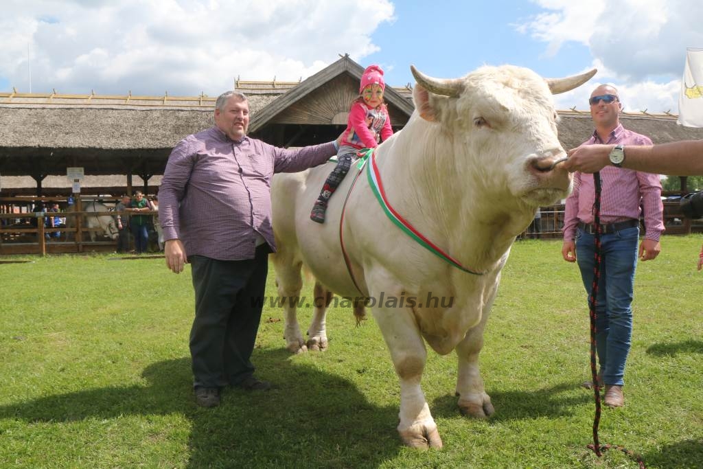 Hódmezővásárhely 2019