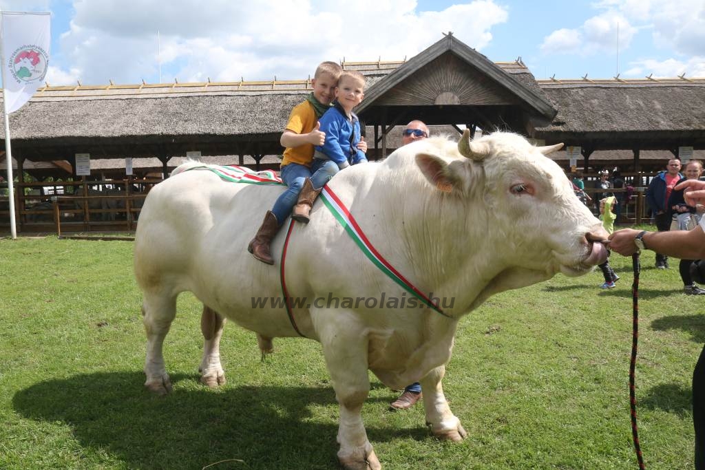 Hódmezővásárhely 2019