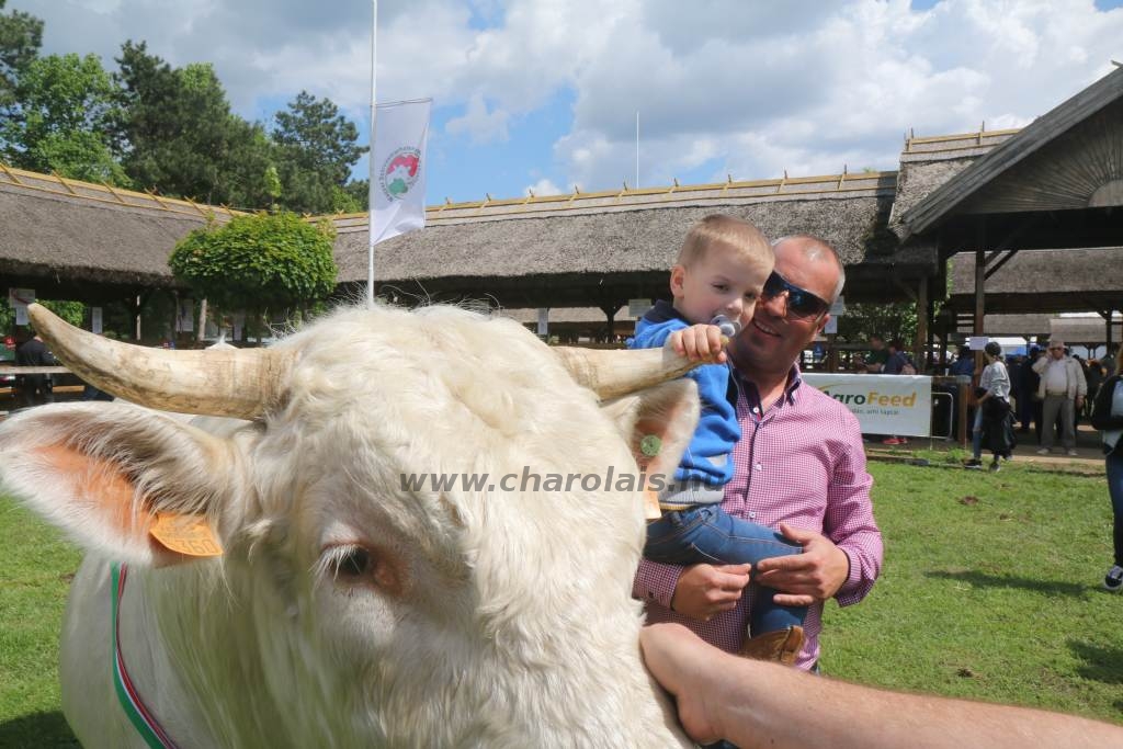 Hódmezővásárhely 2019