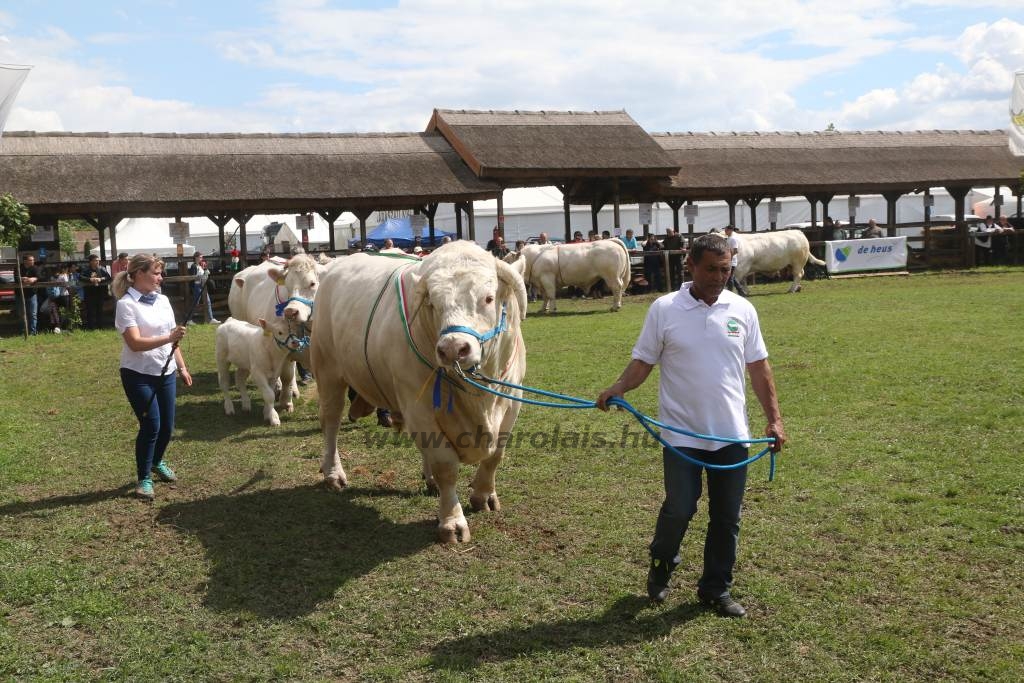 Hódmezővásárhely 2019