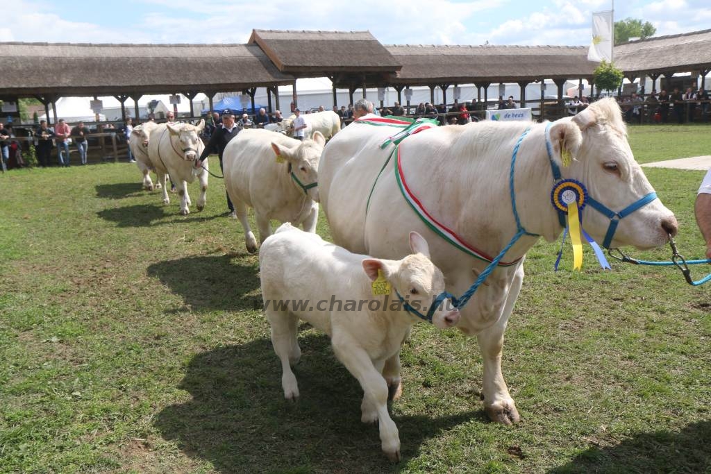 Hódmezővásárhely 2019