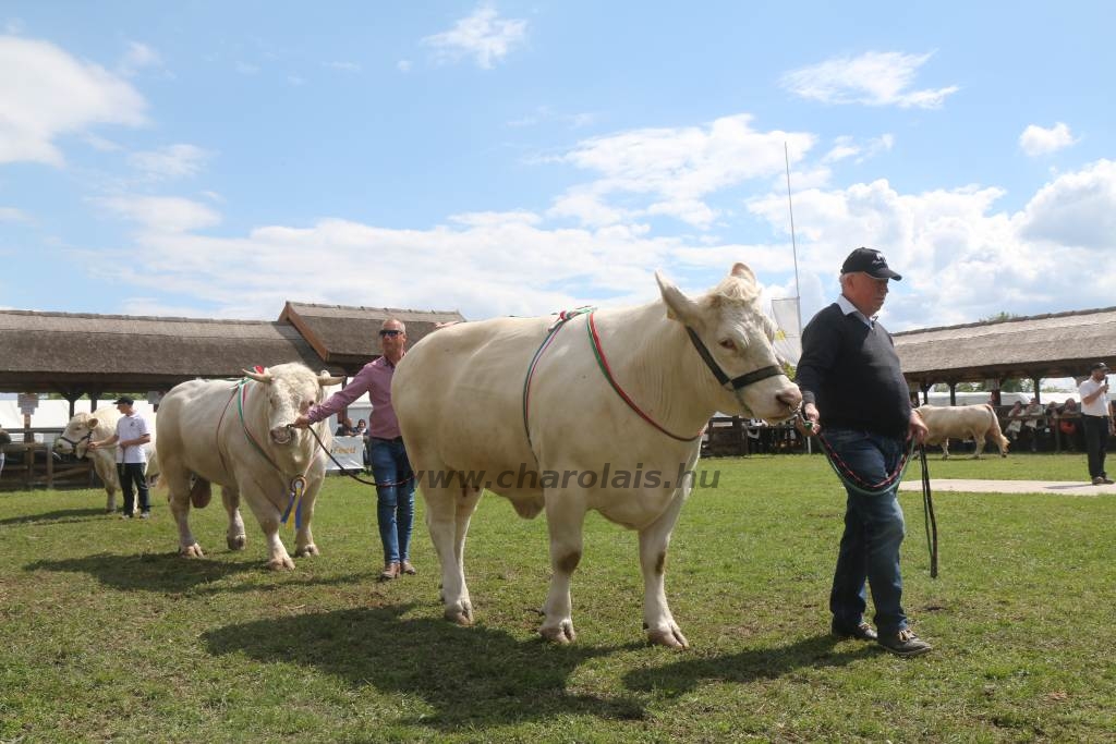 Hódmezővásárhely 2019