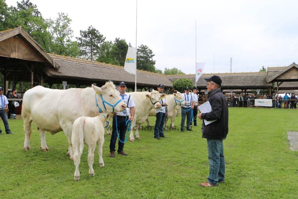 Hódmezővásárhely 2019