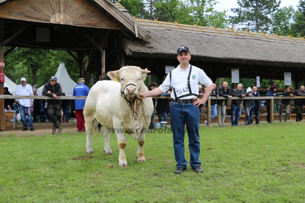 Hódmezővásárhely 2019