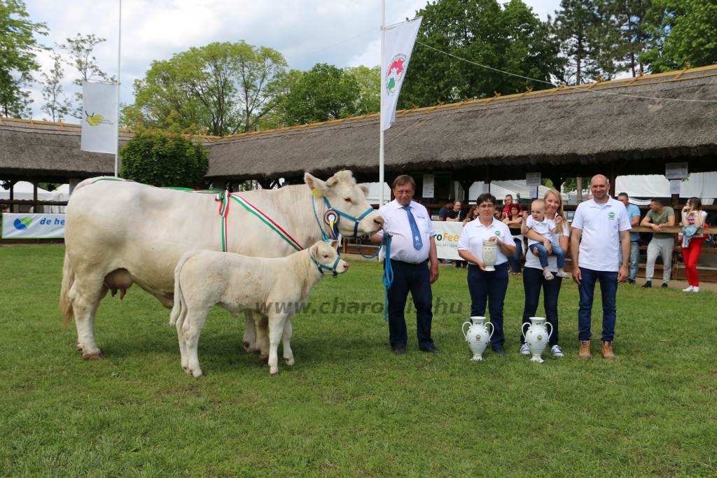 Hódmezővásárhely 2019