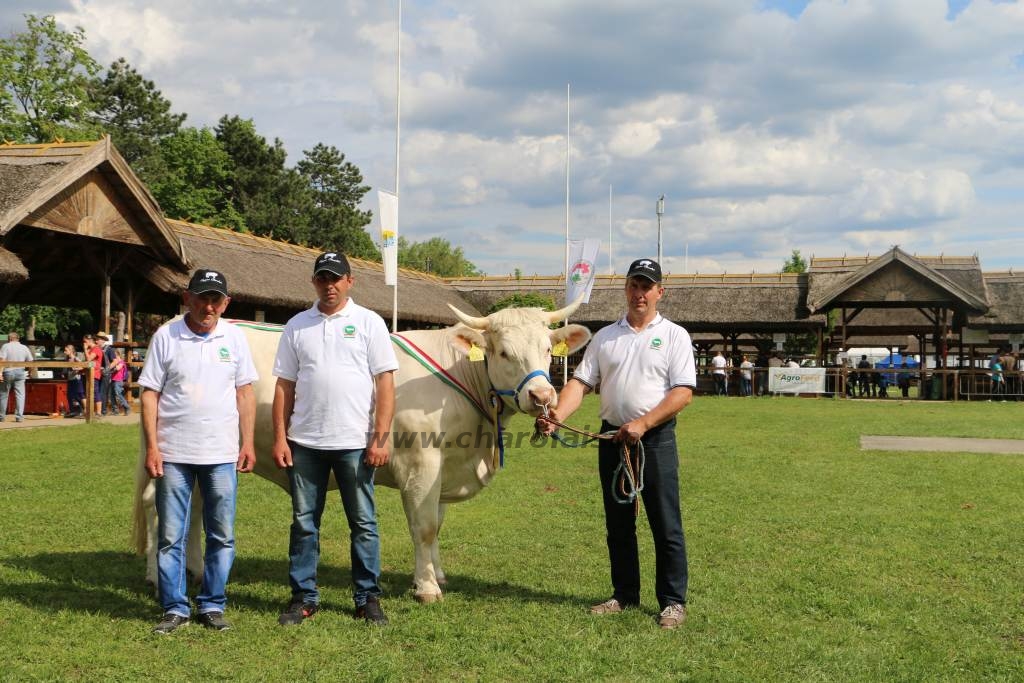 Hódmezővásárhely 2019