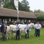 Hódmezővásárhely 2019