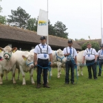 Hódmezővásárhely 2019