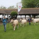 Hódmezővásárhely 2019