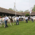 Hódmezővásárhely 2019