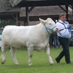 Hódmezővásárhely 2019