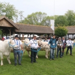 Hódmezővásárhely 2019