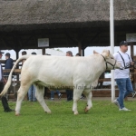 Hódmezővásárhely 2019