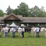 Hódmezővásárhely 2019