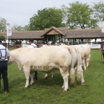 Hódmezővásárhely 2019