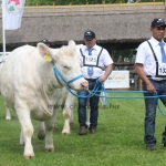 Hódmezővásárhely 2019