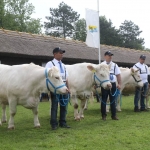 Hódmezővásárhely 2019