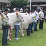 Hódmezővásárhely 2019