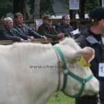 Hódmezővásárhely 2019