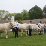 Hódmezővásárhely 2019