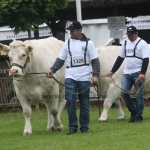 Hódmezővásárhely 2019