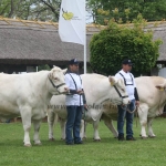 Hódmezővásárhely 2019