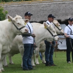 Hódmezővásárhely 2019