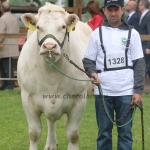 Hódmezővásárhely 2019