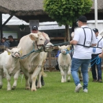 Hódmezővásárhely 2019