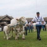 Hódmezővásárhely 2019