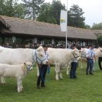 Hódmezővásárhely 2019