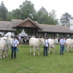 Hódmezővásárhely 2019