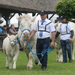 Hódmezővásárhely 2019