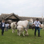 Hódmezővásárhely 2019