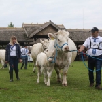 Hódmezővásárhely 2019