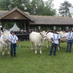 Hódmezővásárhely 2019