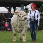 Hódmezővásárhely 2019