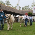 Hódmezővásárhely 2019