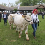 Hódmezővásárhely 2019