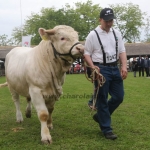 Hódmezővásárhely 2019