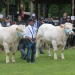 Hódmezővásárhely 2019