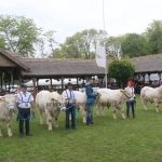 Hódmezővásárhely 2019