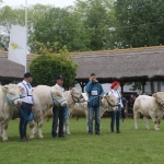 Hódmezővásárhely 2019