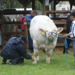 Hódmezővásárhely 2019